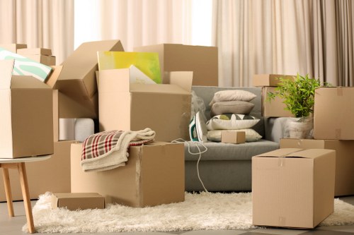 Experienced man and van team assisting with a move