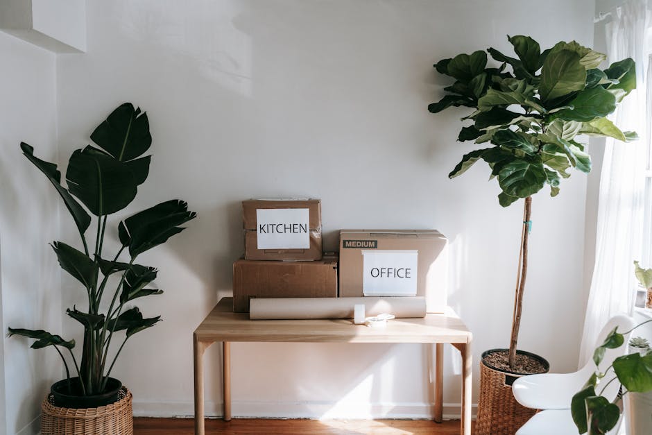 A man with dark curly hair and a beard is seen inside a bright, minimally furnished room, carrying a medium-sized cardboard box labeled 'OFFICE' as part of a home relocation or office move. The box is